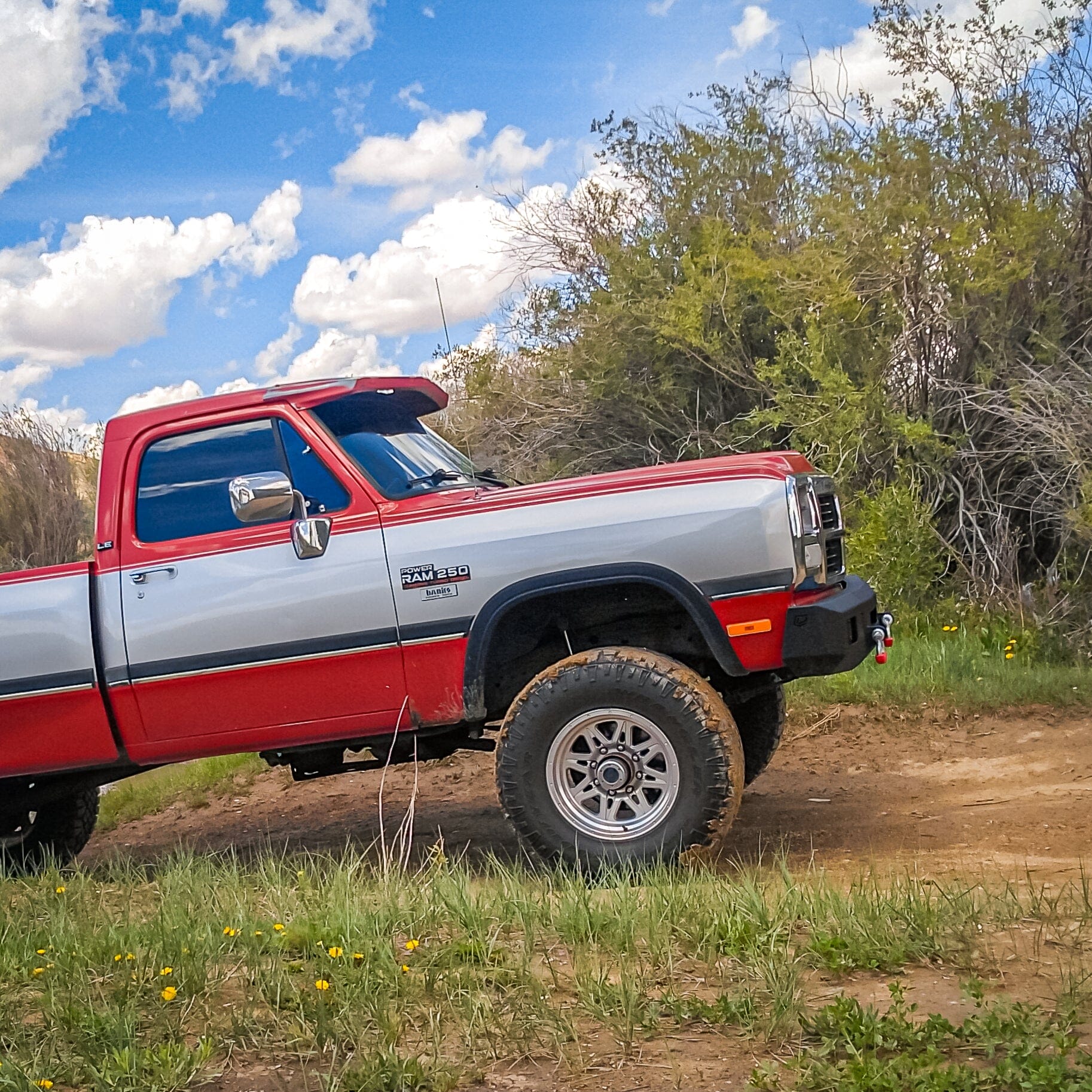 1989-1993 DODGE RAM 250/350 OCTANE FRONT BUMPER Motor Vehicle Parts Chassis Unlimited Inc. 